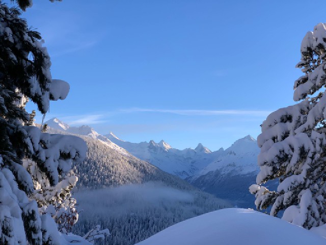 quiet mountains under a white coat