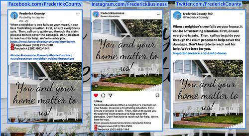 Bowers Insurance Social Media Post Collage 12:4:23 | by CraigShipp.com Photos - Events / People / Places