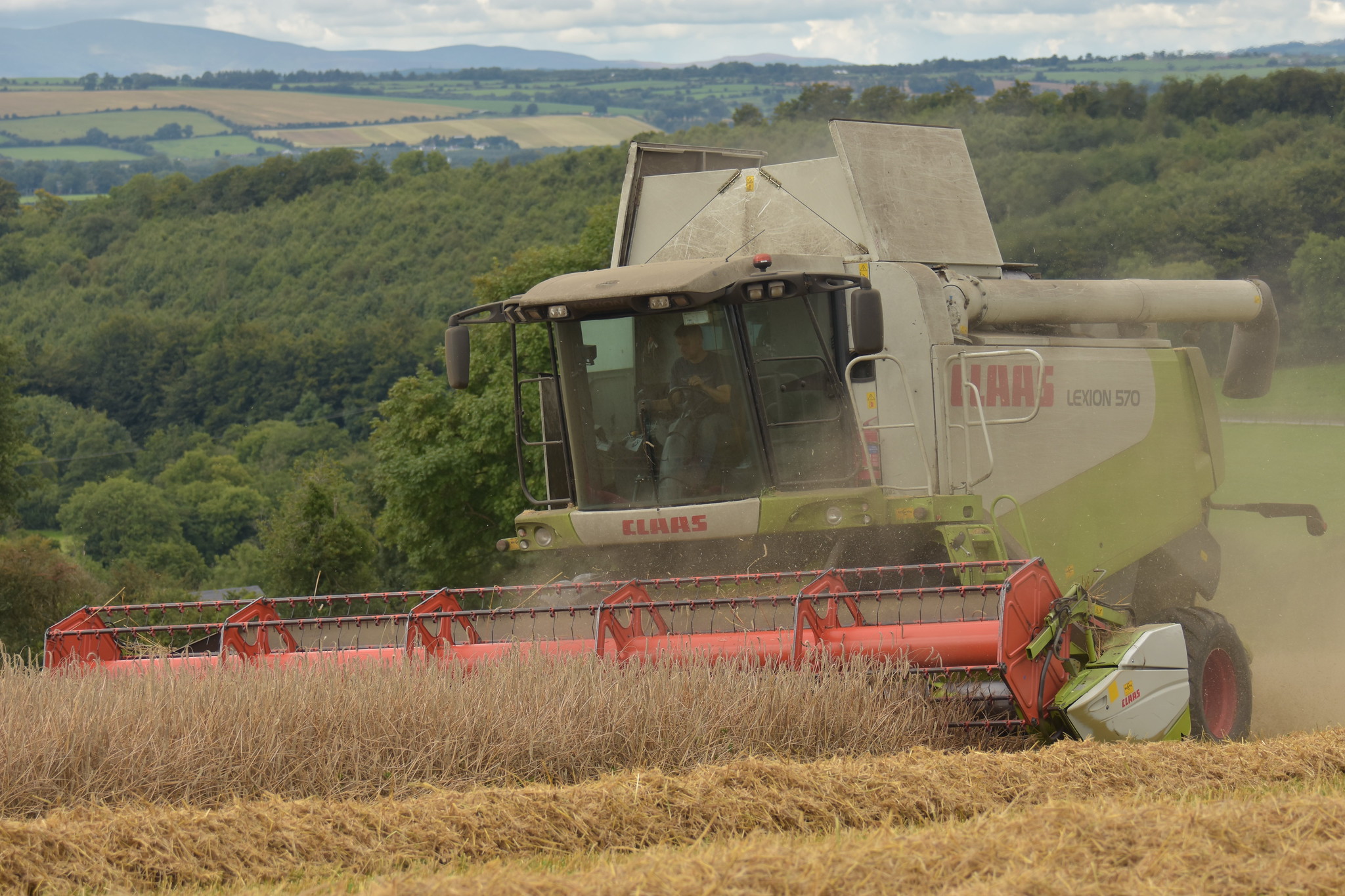 Claas Lexion 570 Combine Harvester cutting Winter Rye