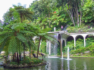 Monte Jardim Tropico