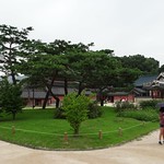 changdeokgung palace Seoul, Korea in Seoul, South Korea 
