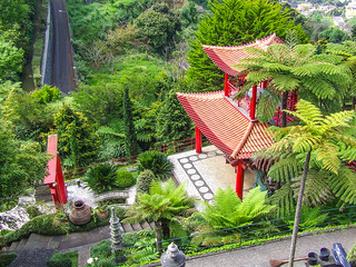 Monte Jardim Tropico