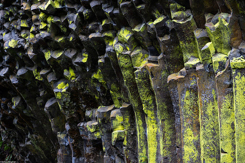 Mossy Columnar Basalt **Explored 27 December 2023** | by bfluegie