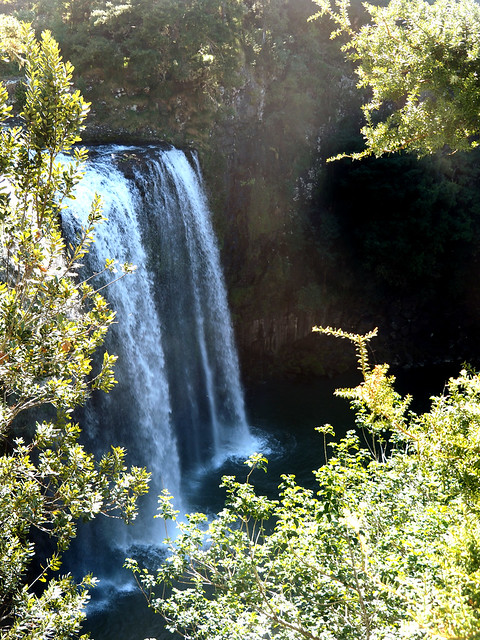 Otuihau Whangārei Falls