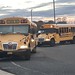 First Student (William Floyd) School Bus 2412 and 2399 - 2019 Bluebird Visions (Both Spare Buses)