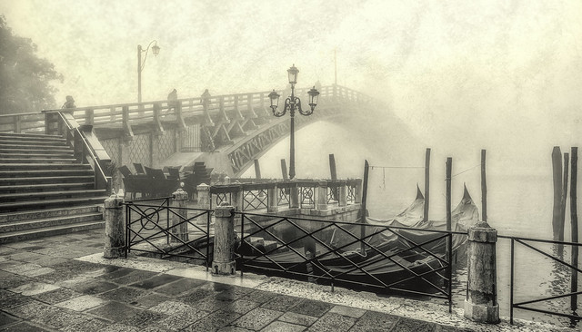 Accademia Bridge - Venice