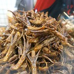 duck tongue on display at laotian lu in taipei in Taipei, Taiwan 