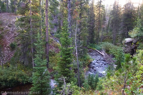 A first view of Cascade Creek along the Terraced Falls Trail, Yellowstone National Park, Wyoming