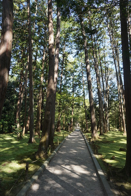 Tōshōdai-ji, Nara : la forêt de mousse