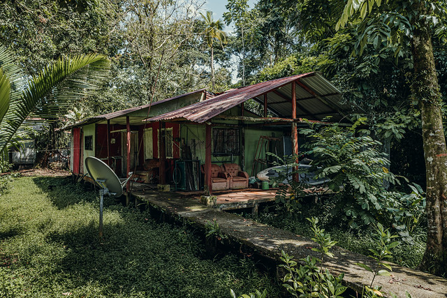 House in the Jungle