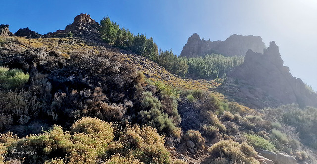 07_Subiendo al Teide