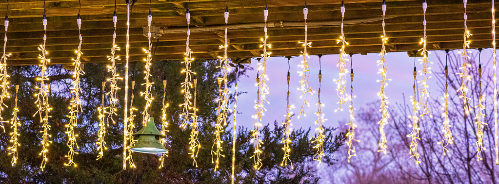 Children's Garden Dangling Lights @ Lewis Ginter Botanic Gardens - Richmond, VA, USA