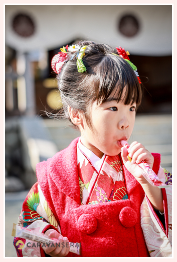 塩竈神社で七五三　名古屋市　3歳の女の子
