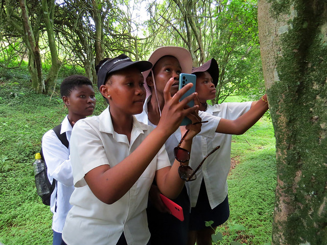 Learners from Fundokuhle Secondary School taking part in the GSB at Ferncliffe Forest, Pietermaritzburg, South Africa, 24 November, credit Connor Cullinan
