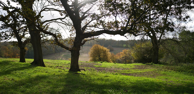 Autumn in Woldingham Valley