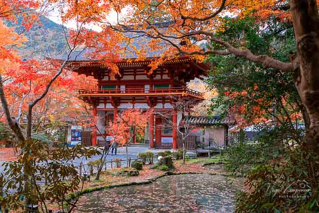 Autumn Scenery (2023) at Muro-ji in Uda-shi, Nara-prefecture.