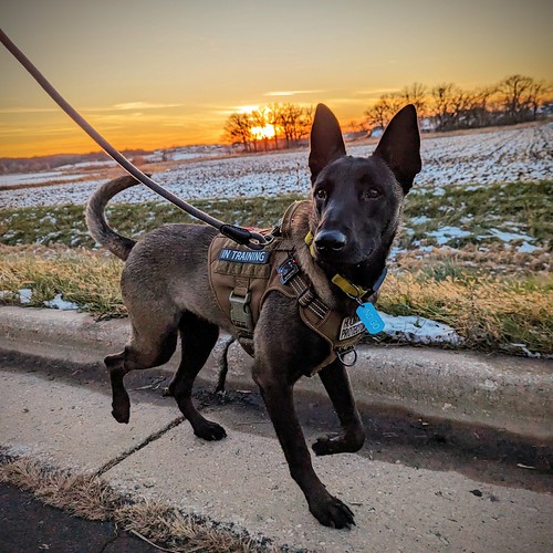 Sunset cruising by speedcenter2001, New road we had not been on before, and a nice sunset. Yeah. More miles completed.indigo malinois be