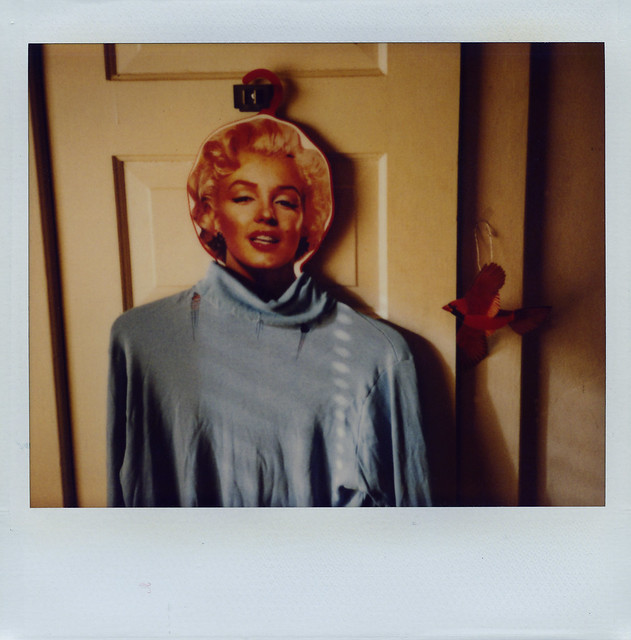 A Marilyn Monroe hanger with tattered turtleneck and male Cardinal