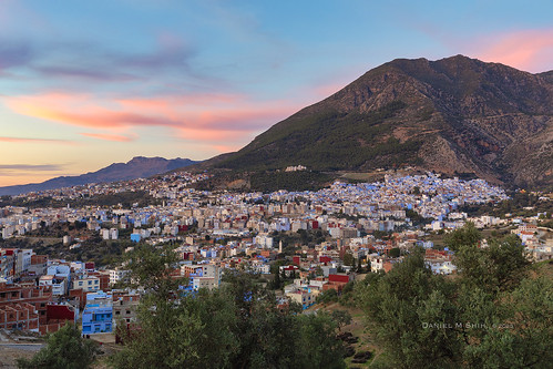 mosques rural scenicpoints chefchaouen morocco africa middleeast thebluepearl blue danielmshih cat 摩洛哥 藍城 舍夫沙萬 藍