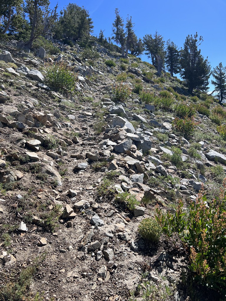 Cornucopia Peak Hike