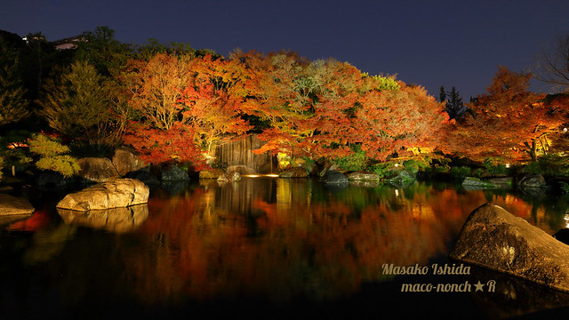 Autumn Zen Garden  - Himeji Castle Garden Kokoen