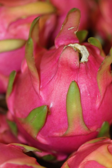 Pitaya ou Pitaya Vermelha (Hylocereus monacanthus) ou fruta-do-dragão. Dragon fruit