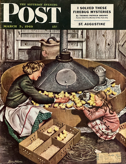 “Chicks in Incubator” by Stevan Dohanos on the cover of “The Saturday Post,” March 5, 1949.