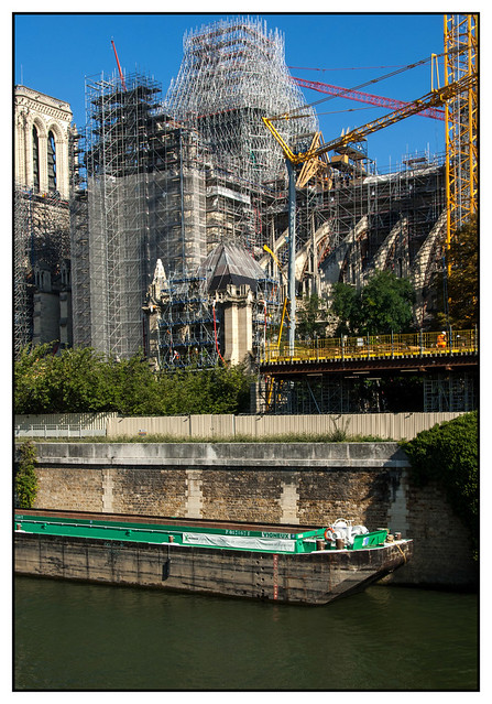 DSC_0115,Notre-Dame. Cliché pris du Quai de Montebello, Paris,5ème