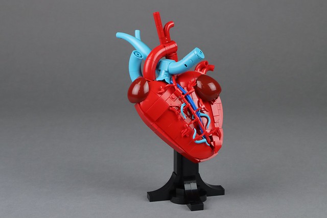 Anatomically correct heart for LEGO’s #BuildToGive campaign