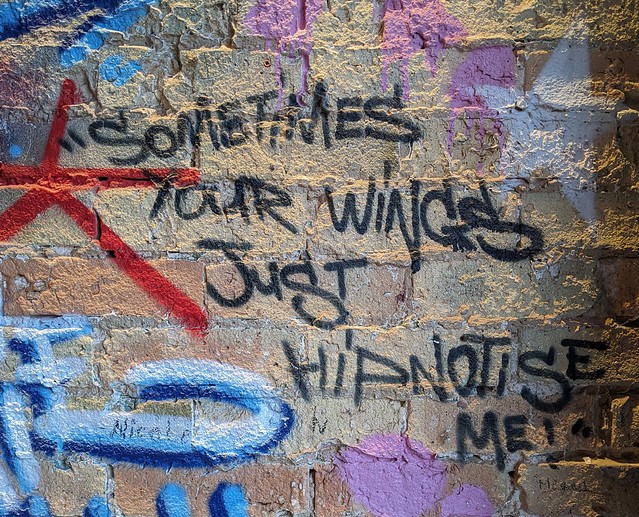 Sometimes Your Wings