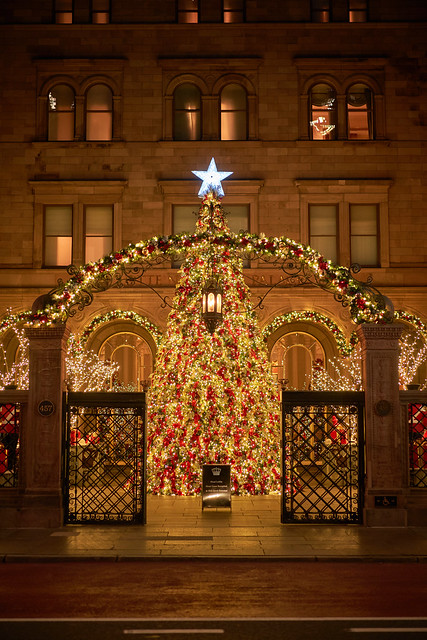 Lotte New York Palace Christmas Tree