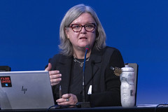 Françoise Ramel, Vice-présidente FIQ
