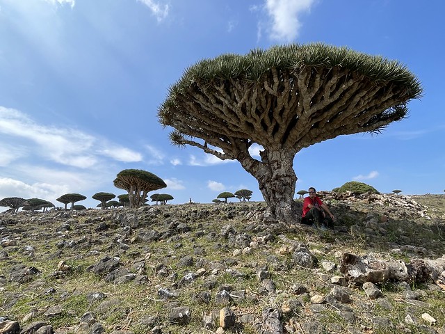 Sele en Socotra