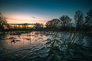 Sunset in the icy field