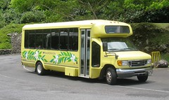 TP Transportation NSX 380