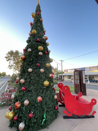 Winton Christmas Tree