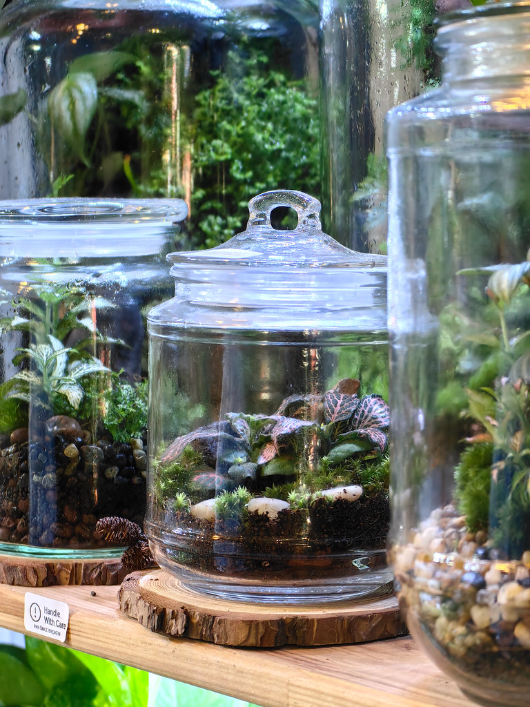 Terariums 迷你植物玻璃瓶 @ Plantae Lover SS18