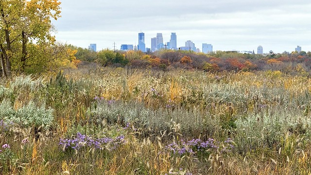 Minneapolis from a distance