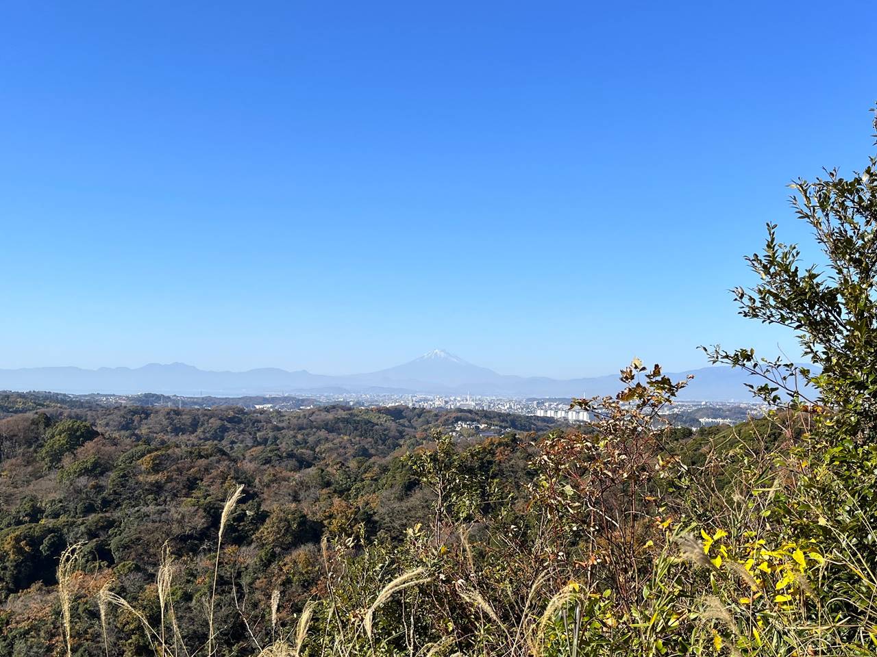 鎌倉アルプス・天園ハイキングコースから眺める富士山の展望