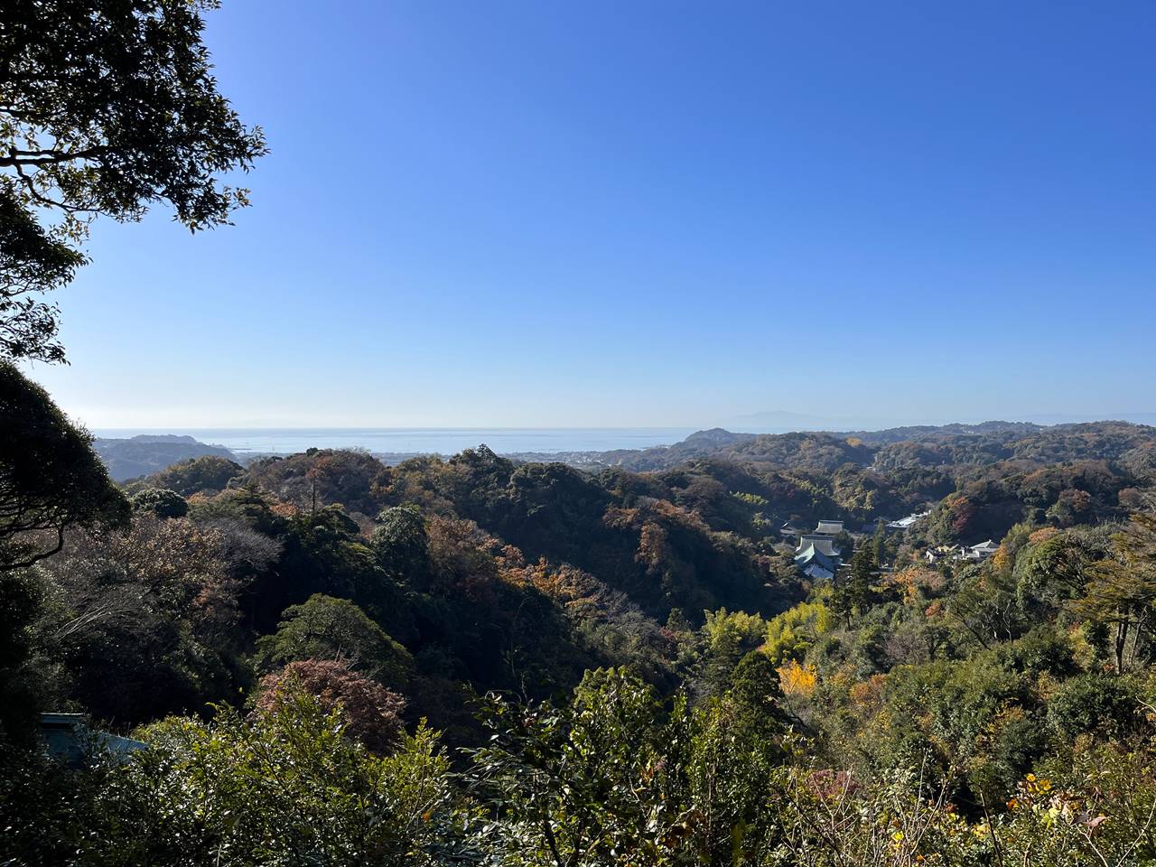 鎌倉アルプス・天園ハイキングコースから眺める海の展望