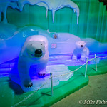Polar Bear Crossing In Ice Land at Moody Gardens, Galveston, Texas

Ice Land&#039;s theme for 2024 will be Christmas Pole to Pole, so they&#039;ll get to put ice sculptures of polar bears next to sculptures of penguins. What&#039;s not to like?