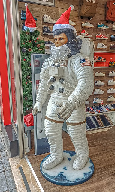 Simio astronauta