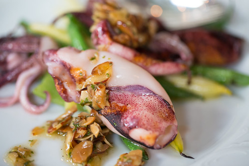 Squid | by Thomas Hawk