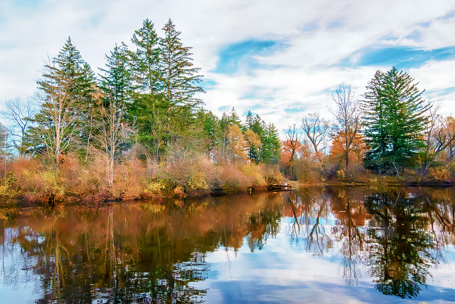A serene pond in autumn