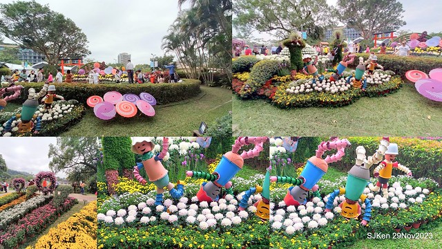 「2023士林官邸菊展 」(Shlin Residence Chryanthemum Festival ) series 7-2 , the exhibition is from Nov 24 to Dec 10, 2023 at Taipei, Taiwan.
