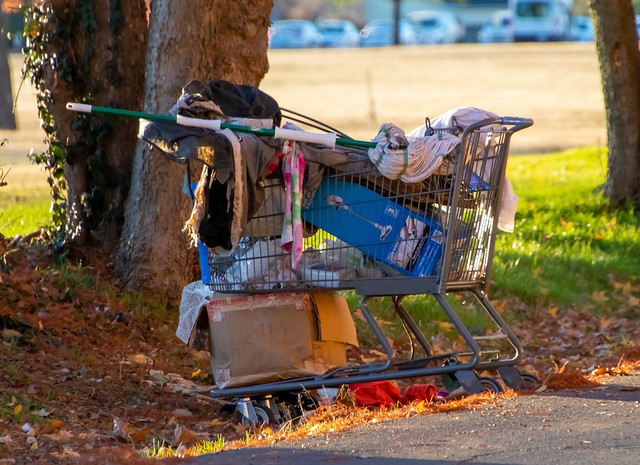 Homeless shopping cart