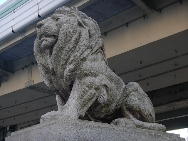 Naniwa lion (1)