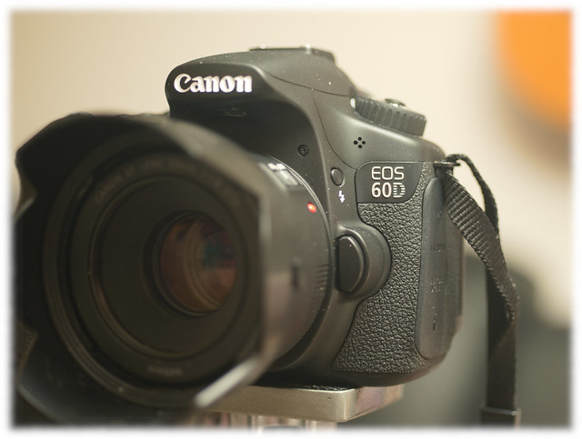 Digital SLR: Canon EOS 60D - Image by: Nikon D800 with Nikon AF Micro Nikkor 60mm f/2.8D Prime & Polarizer