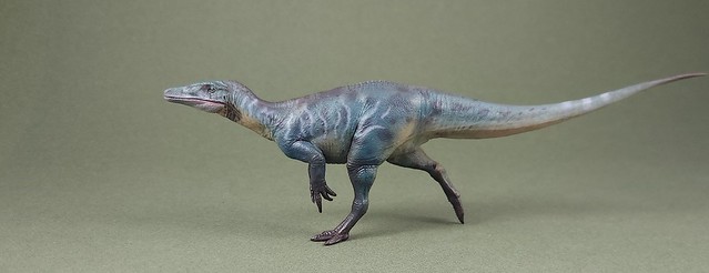 Megaraptor