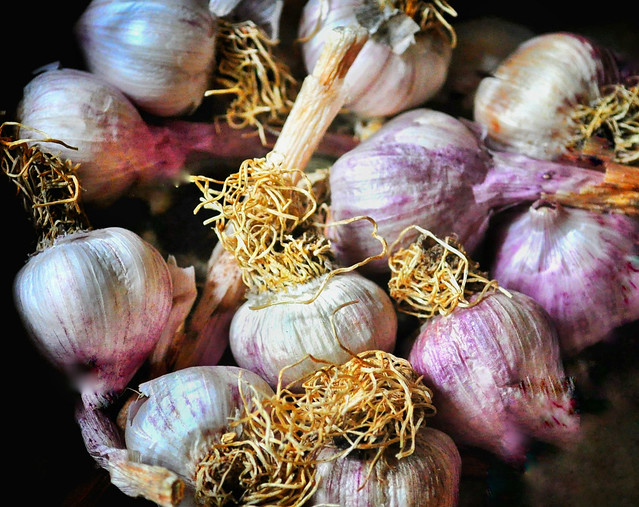 Baby garlic